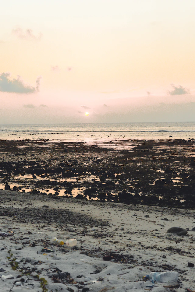 Fall — photograph by Ibrahim Ifaaz, Maldives