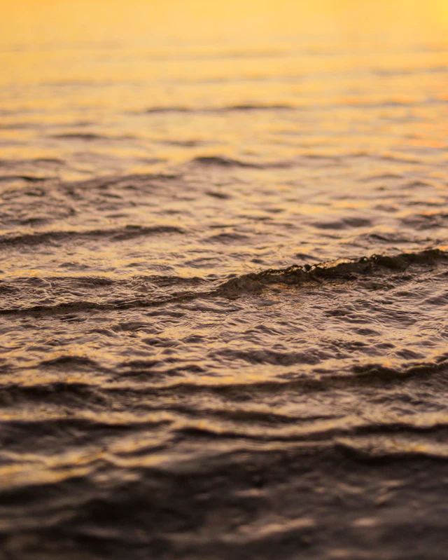 Shallow focus, water — photograph by Ibrahim Ifaaz, Maldives