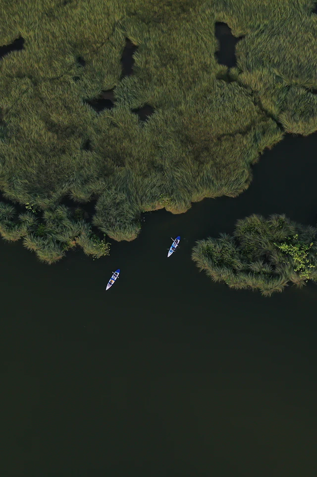 Aerial, green trees — photograph by Ibrahim Ifaaz, Maldives