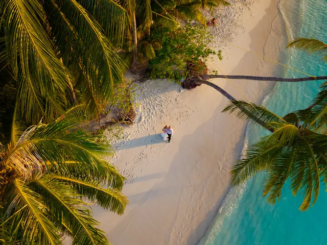 Palms and shoreline, above — photograph by Ibrahim Ifaaz, Maldives