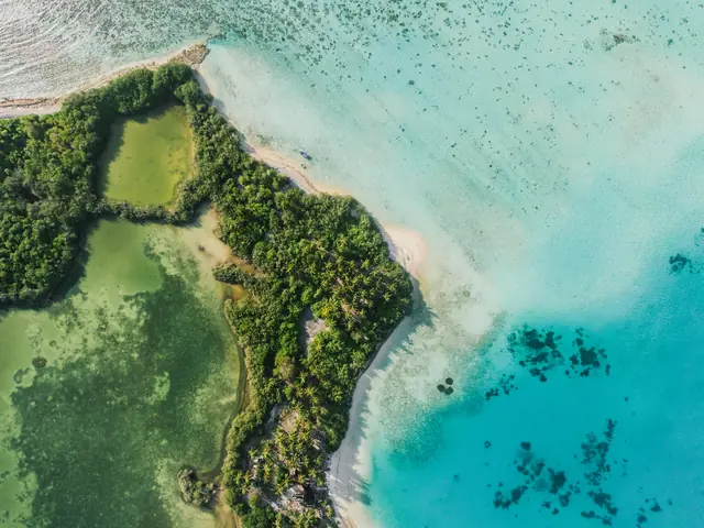 Shoreline from above — photograph by Ibrahim Ifaaz, Maldives